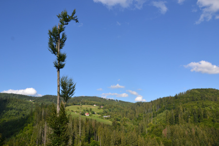 Bahenec