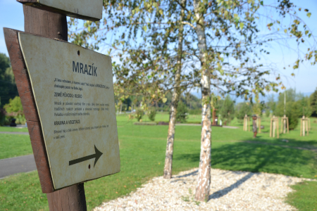 Bukovec